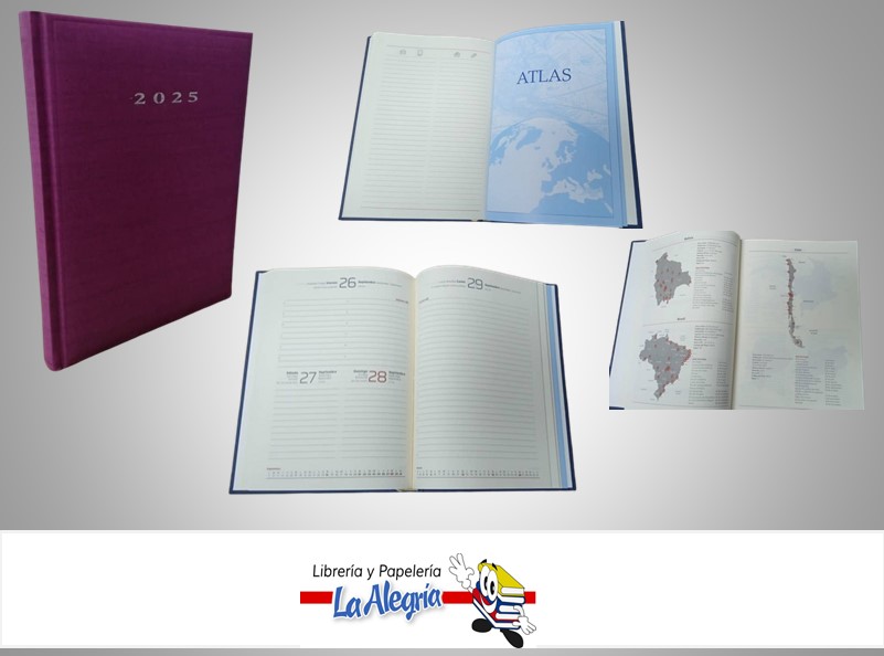 AGENDA 2025 DIARIA CORVARA FUCSIA D58 MARCA ARTESCO