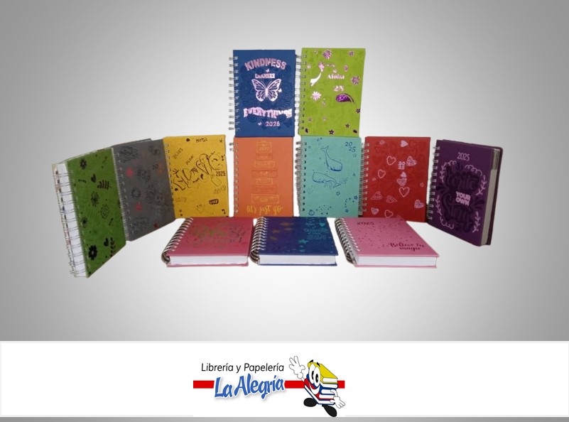 AGENDA 2025 JUVENIL ANILLADA 17X12 CM MODELOS SURTIDOS MARCA ARTESCO