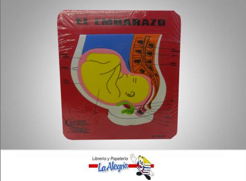[1R060] FIGURA EN FOAMI EMBARAZO 1R060 MARCA UNIVERSO DIDACTICO   