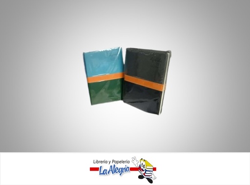 [7453010005641] AGENDA PERMANENTE AG2120 AP 21X14CM 2 COL MARCA POINTER