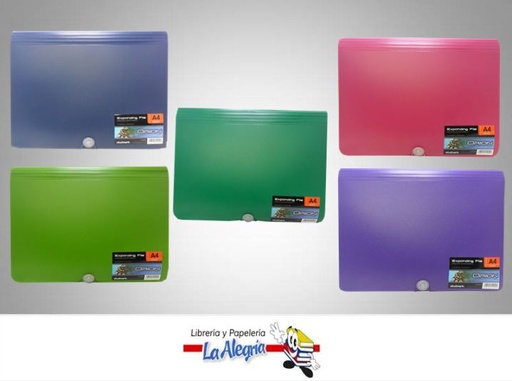 [7453015110494] ARCHIVADOR EXPANDIBLE 13 DIVISIONE CARTA MARCA STUDMARK   