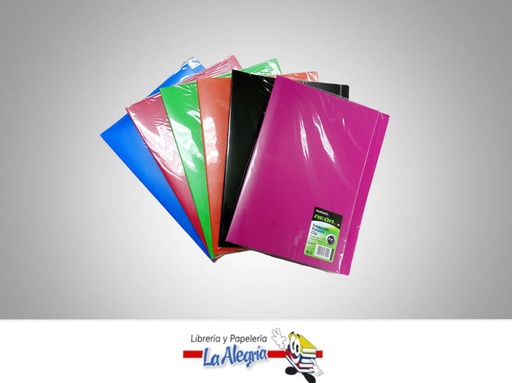 [7453015131192] CARPETA PLAST C/GANCHO PRESION OFICIO NE MARCA STUDMARK   