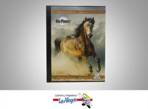 [7591175057409] CUADERNO EMPASTADO GDE 1 CUADRO 100H MARCA CARIBE