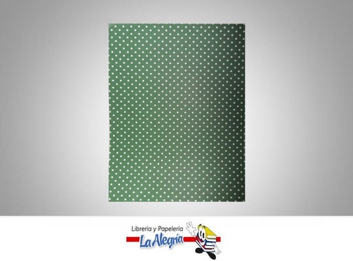 [7591835007393] CARTULINA BRISTOL PUNTO MEDIANO CARTA VERDE OSCURO PAQ 12 UND MARCA COINGRA