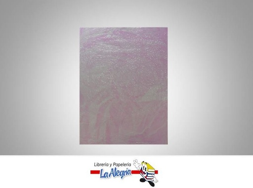 [7591835013325] CARTULINA RUGOSO CARTA MORDO MARCA COINGRA   