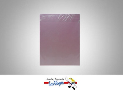 [7591835014841] CARTULINA BRISTOL CARTA ROSADO PAQ MARCA COINGRA