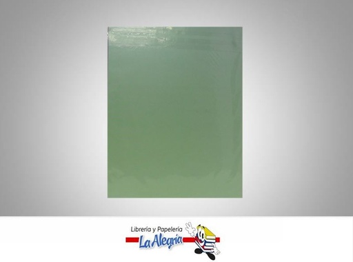 [7591835014933] CARTULINA BRISTOL CARTA VERDE MARCA COINGRA   
