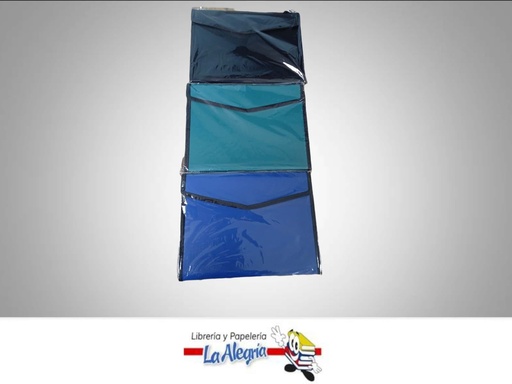 [7592302026893] ARCHIVADOR PLASTICO EXPANDIBLE CARTA AP415 MARCA ITECA