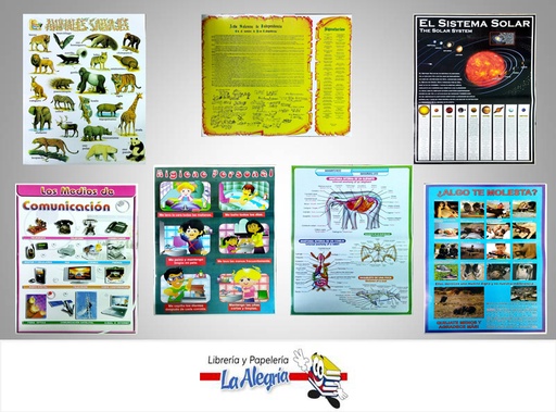 [AFG129] AFICHE ESCOLAR 1/2 P VARIADO UND MARCA S/M   