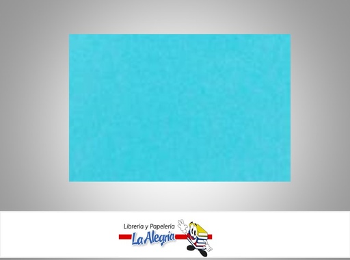 [BCP004] CARTULINA BRISTOL 66X48 CM AZUL CLARO UND 120GR MARCA S/M   