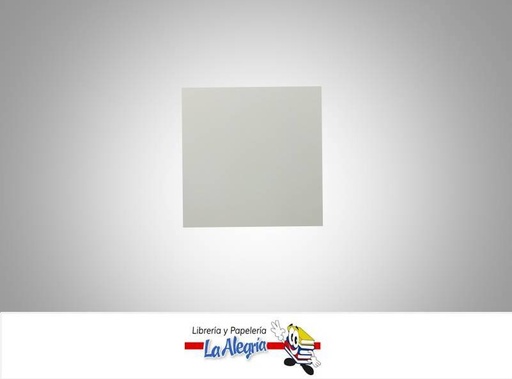 [BCP019] CARTULINA BRISTOL 66X48 CM PLATEADO UND 120GR MARCA S/M   