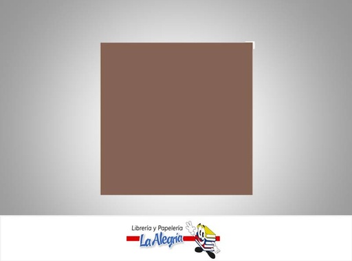 [BCP033] CARTULINA BRISTOL 66X48 CM MARRON UND 120GR MARCA S/M   