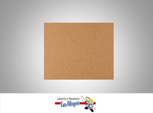 [CARTNAT70X50] CARTULINA ECO MASTER NATURAL 50X70 CM UN MARCA S/M   