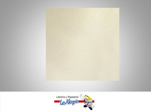 [CARTUCP016] CARTULINA COLLEGE PERLADA DOBLE CARA 50X70CM BLANCA 205 GR MARCA S/M