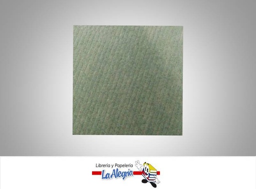 [CD0025] CARTULINA DURACOL 66 X 48 CM MARCA S/M   