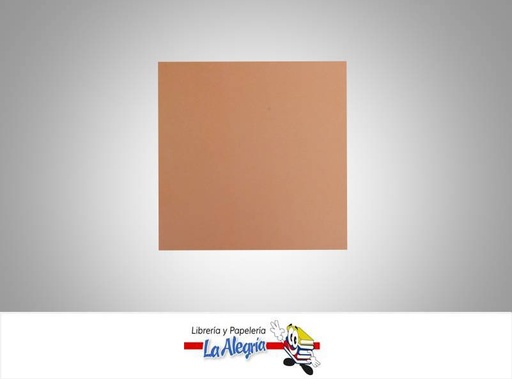 [CDFP012] CARTULINA DOBLE FAZ 66X48 CM PIEL CANELA UND 273GR MARCA S/M