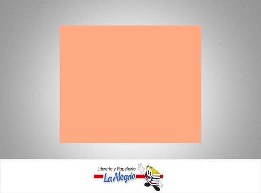 [CDFP013] CARTULINA DOBLE FAZ 66X48 CM CARNE OSCURO UND 273GR MARCA S/M