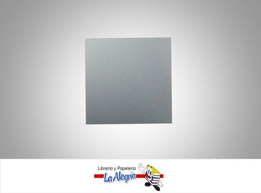 [CDFP019] CARTULINA DOBLE FAZ 66X48 CM PLATA UND 273GR MARCA S/M   