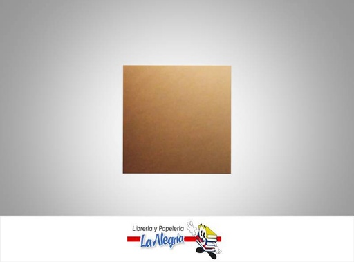 [CDFP051] CARTULINA DOBLE FAZ 66X48 CM BRONCE UND 273GR MARCA S/M   