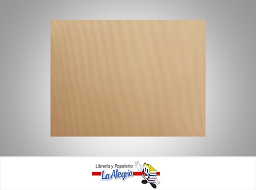 [CORRUG016] CARTON CORRUGADO 50X70 CM MARRON UND MARCA S/M   