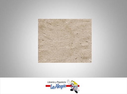 [CT0003] CARTON 3 EN KG 0,75MM 283GR 70X100CM UND MARCA S/M   