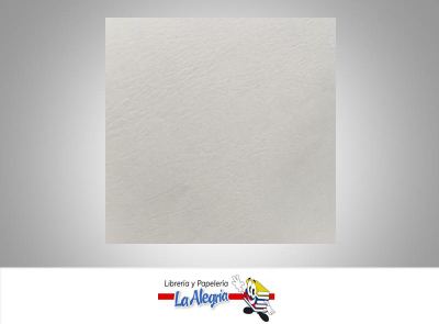 [CT6648] CARTULINA TEXTURIZADA 66X48 CM BEIGE UND MARCA S/M   