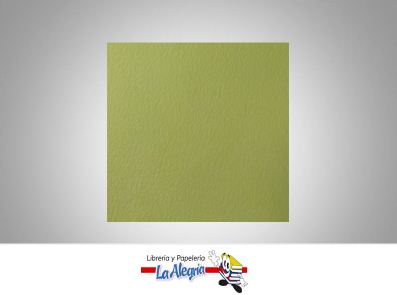 [CT6648A] CARTULINA TEXTURIZADA 66X48 CM AMAR UND MARCA S/M   