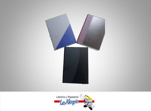 [DLX2] AGENDA DIARIA ESTANDAR MARCA EDICIONES DIR   