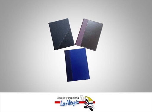 [DPRG] AGENDA PROGRAMADOR EJECUTIVO 24X17CM MARCA EDICIONES DIR   