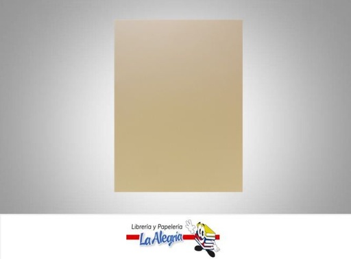 [FUC043] FOAMI UNICOLOR CARTA CARNE UND MARCA S/M