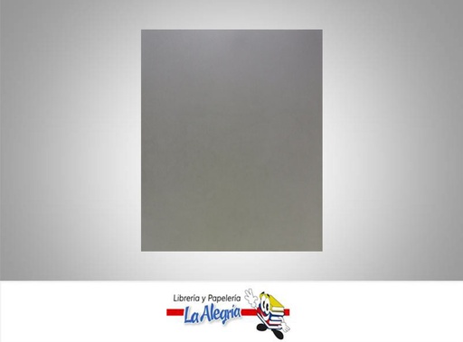 [FUDC012] FOAMI UNICOLOR DOBLE CARTA GRIS UND MARCA S/M