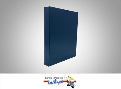 [R6] CAJA DE REGALO 18,3X25,2 CM AZUL UND MARCA S/M   