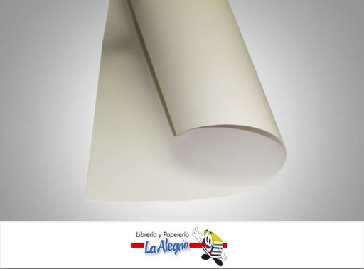 [SULF16] CARTULINA SULFATO CAL16/270G 70X100CM BL MARCA S/M