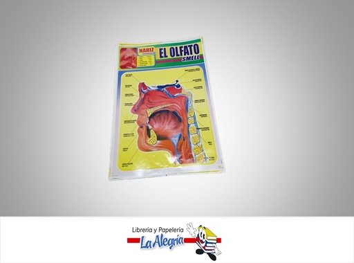 [AFG038] AFICHE GRANDE EL OLFATO EN INGLES MARCA S/M