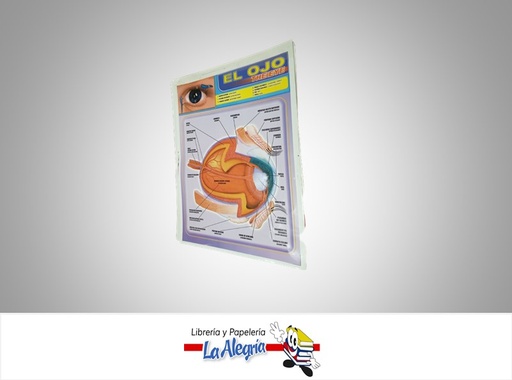 [AFG058] AFICHE GRANDE EL OJO EN INGLES MARCA S/M