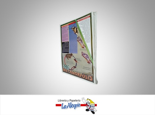 [AFG063] AFICHE GRANDE LA METAMORFOSIS MARCA S/M
