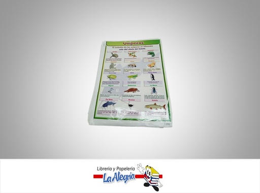 [AFG061] AFICHE GRANDE OVIPAROS MARCA S/M