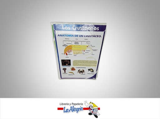 [AFG060] AFICHE GRANDE LOS CRUSTACEOS MARCA S/M