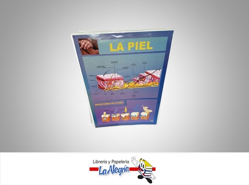 [AFG066] AFICHE GRANDE LA PIEL MARCA S/M