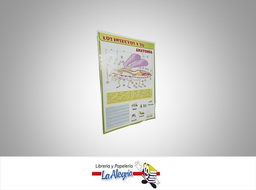 [AFG065] AFICHE GRANDE LOS INSECTOS Y SU ANATOMIA MARCA S/M