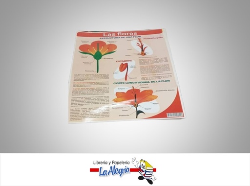 [AFG082] AFICHE GRANDE LAS FLORES MARCA S/M