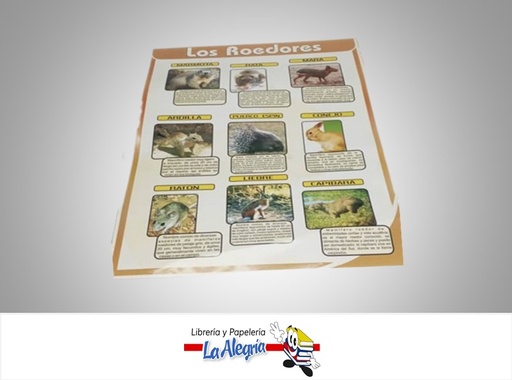 [AFG072] AFICHE GRANDE LOS ROEDORES MARCA S/M
