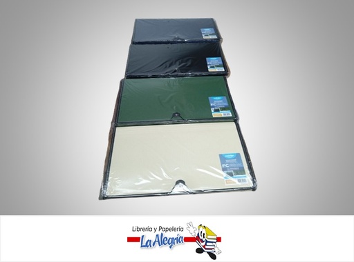 [7453078500102] ARCHIVADOR EXPANDIBLE PLASTICO FL142FC CON LIGA OFICIO 13 DIVISIONES MARCA POINTER
