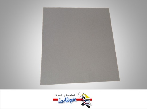 [CARTUCOL050] CARTULINA BRISTOL CARTA GRIS UND 120GR MARCA S/M