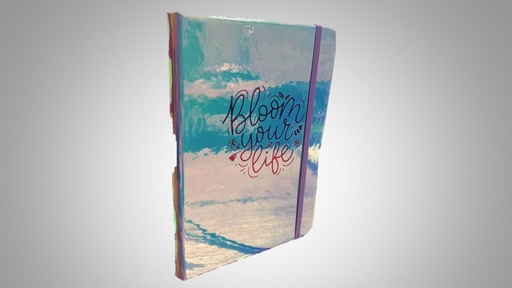 [7453078505503] LIBRETA NOTA EMPASTADO CHICAS NB23128 21X13,5CM METALIZADO MARCA POINTER