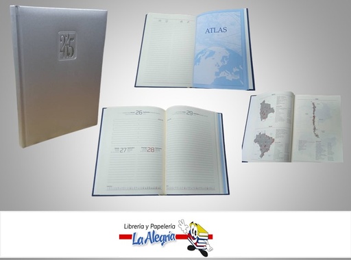 [AGENDA202515] AGENDA 2025 DIARIA LUNA PLATA C40 MARCA ARTESCO