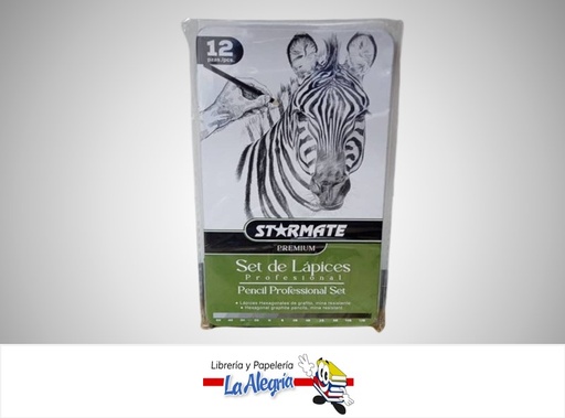 [7453116012024] LAPIZ DE DIBUJO PROFESIONALES H-6H,B-12B, PAQ. 12 UND STR-2219 MARCA STARMATE