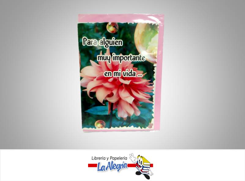 TARJETA DE REGALO 15,1X21,6 SURTIDAS MARCA S/M   