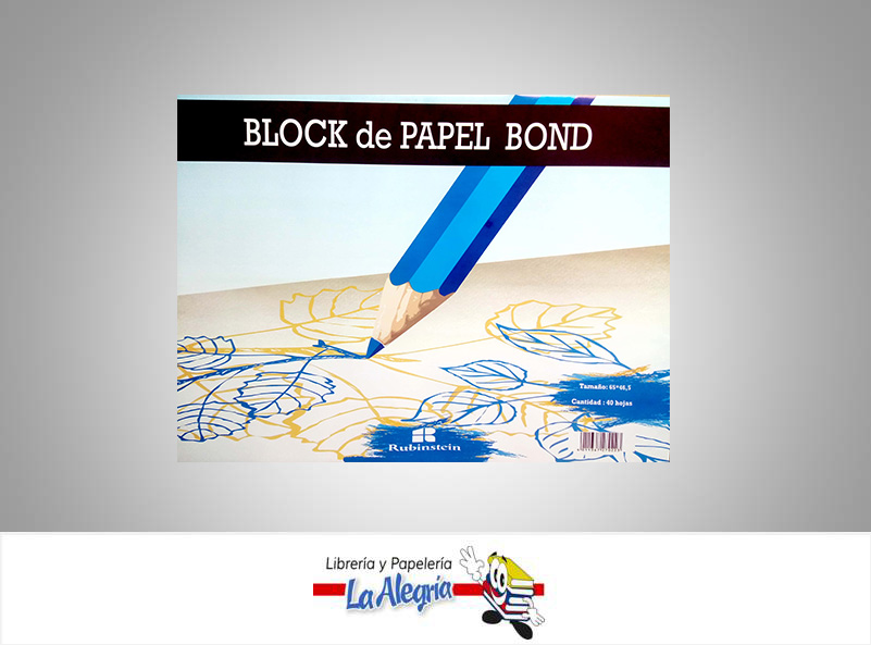 BLOCK DIBUJO 1/2 PLIEGO BASE 20 40H MARCA RUBINSTEIN   