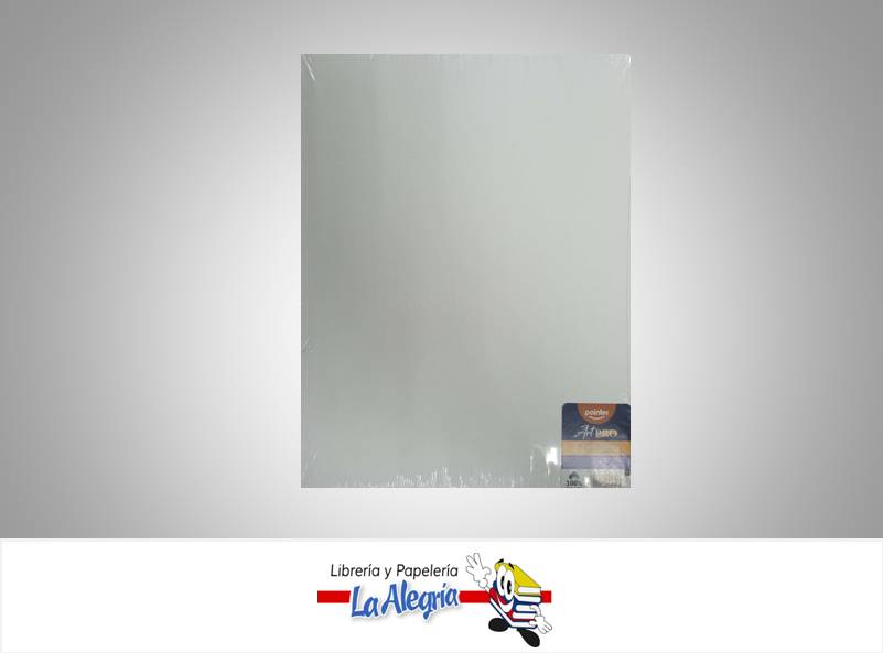 LIENZO EN BLANCO 24 X 30 CM ART PRO MARCA POINTER   